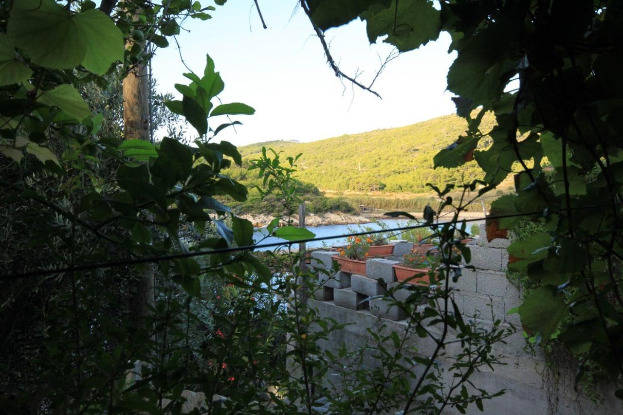 Apartments By The Sea Milna, Vis - 8913 Exterior photo